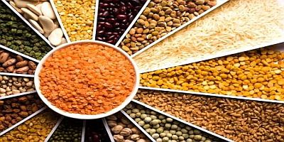 Building Reliable Supply Chains with Premium Agro Commodities