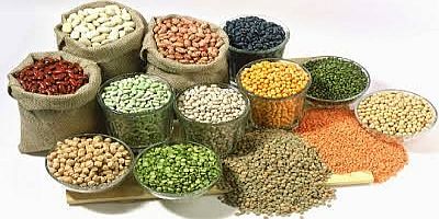 Why Quality Matters in International Agro Commodity Exports