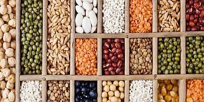 The Benefits of Partnering with a Trusted Agro Commodity Exporter