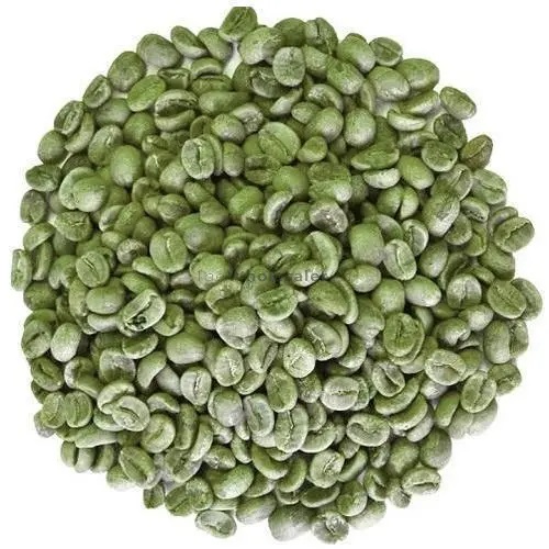 Green Coffee Supplier Laos