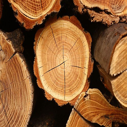 Timber & Wood Suppliers Laos