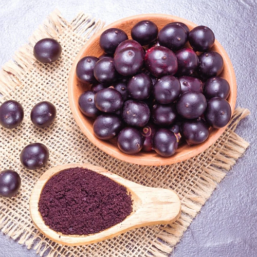 Acai Supplier Laos