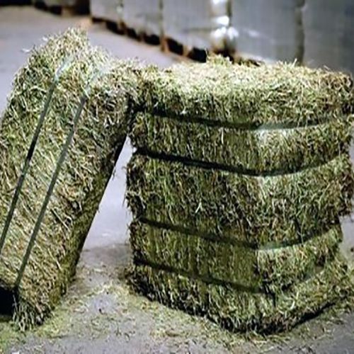 Alfalfa Hay Supplier Laos