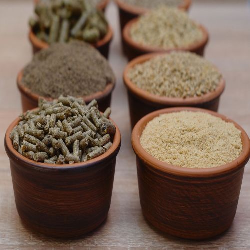 Animal Feed & Forage Suppliers Laos