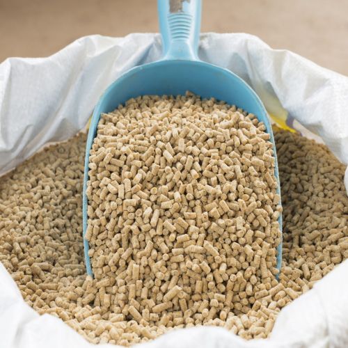 Animal Feed Supplier Laos