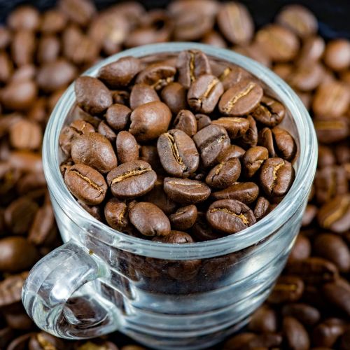 Arabica Coffee Supplier Laos