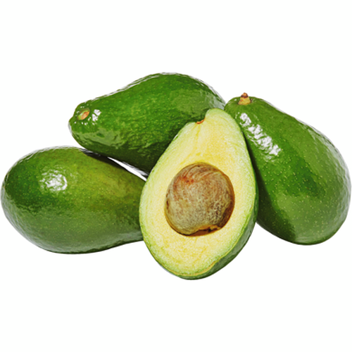 Avocado Supplier Laos