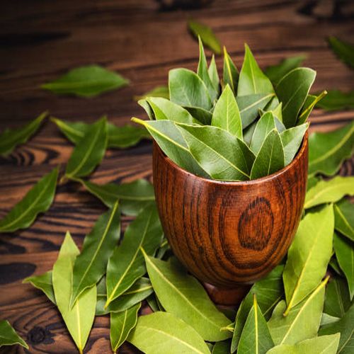 Bay Leaf Supplier Laos
