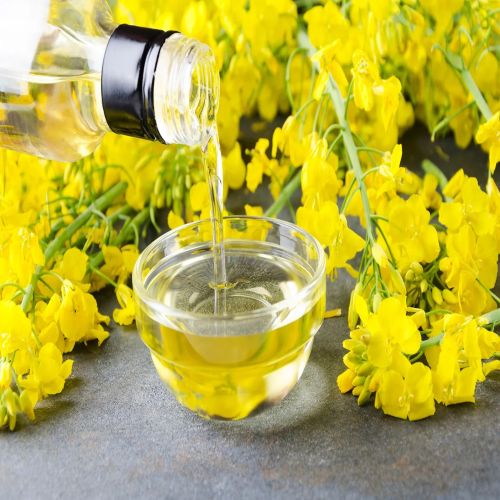 Canola Oil Supplier Laos