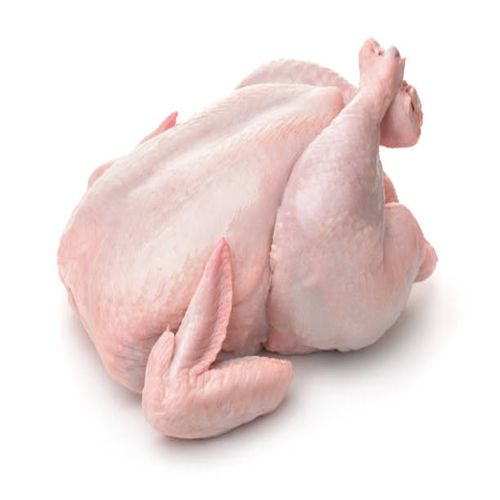 Chicken Supplier Laos