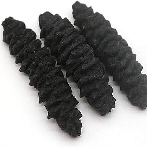 Dried Sea Cucumber Supplier Laos