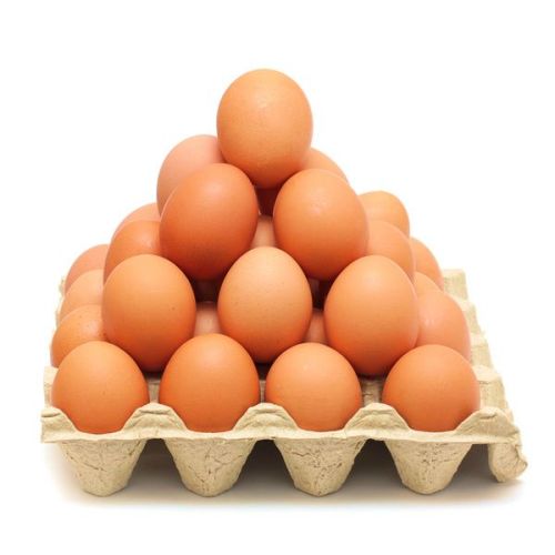Eggs Supplier Laos
