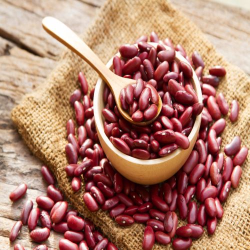 Kidney Beans Supplier Laos