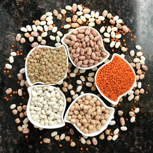 Legumes & Pulses Suppliers Laos