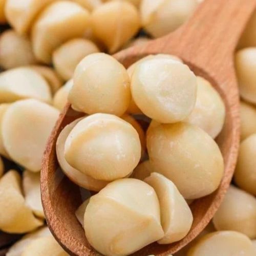 Macadamia Supplier Laos