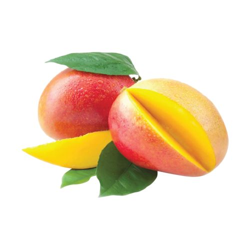 Mangoes Supplier Laos
