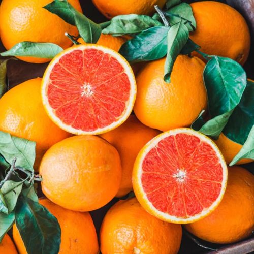 Oranges Supplier Laos