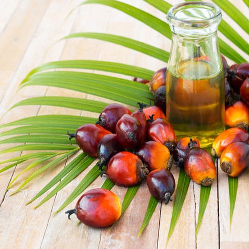 Palm Oil Supplier Laos