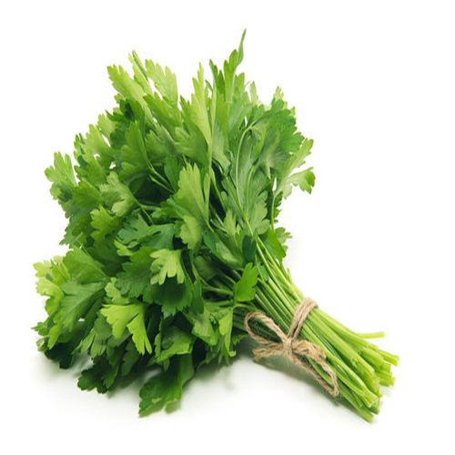 Parsley Supplier Laos