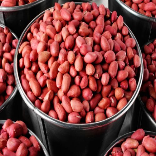 Peanut Supplier Laos