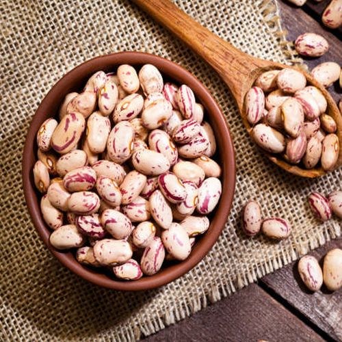 Pinto Beans Exporter Laos Pinto Beans Supplier Laos