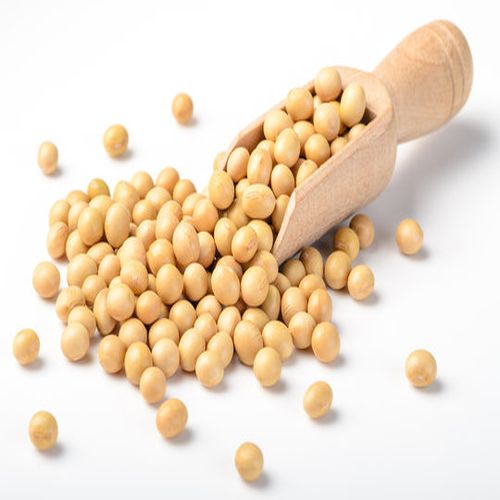Soybeans Supplier Laos
