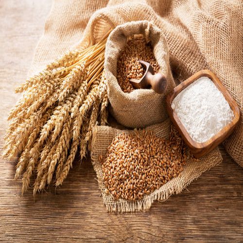 Wheat Flour Supplier Laos