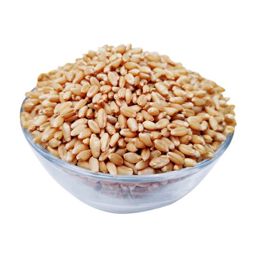 Wheat Supplier Laos
