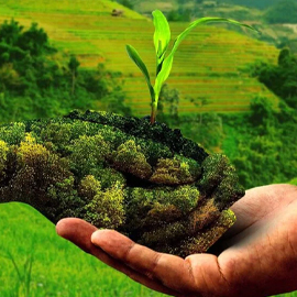 Premium Quality Agro Commodities